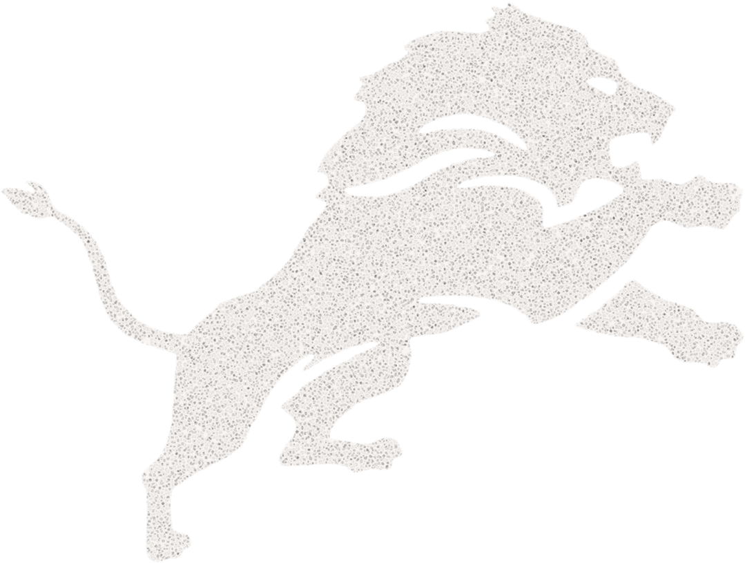Detroit Lions